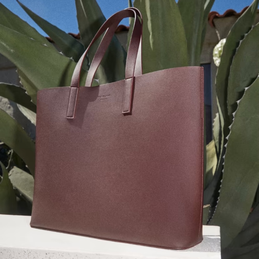 Everlane the new day market tote